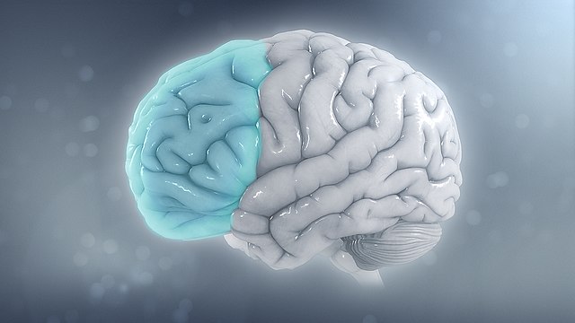 How to Work with ADD (Attention-Deficit Disorder)